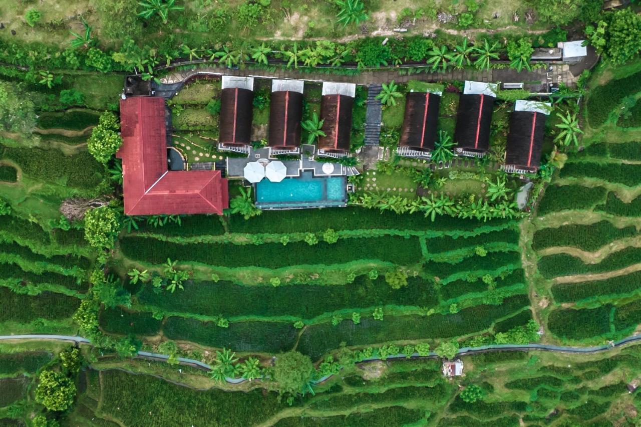 Lumbung Seraya Villa Каранґасем Екстер'єр фото